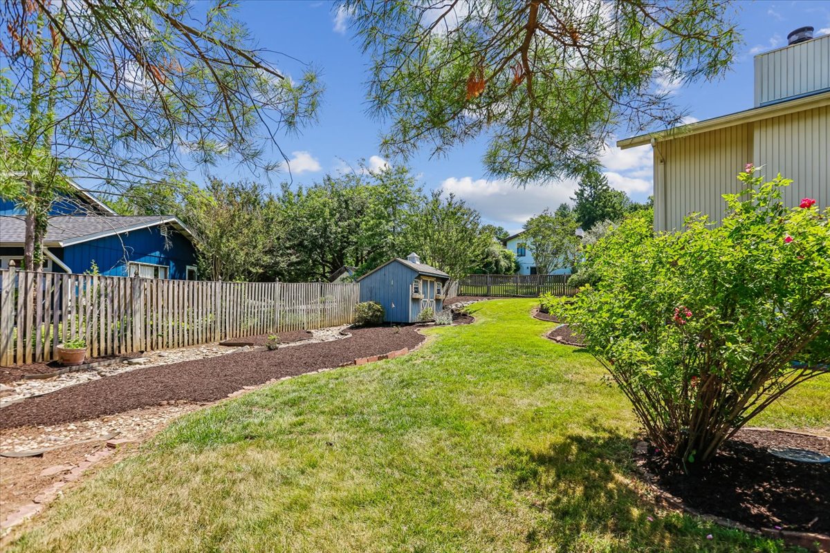 51-Back Yard