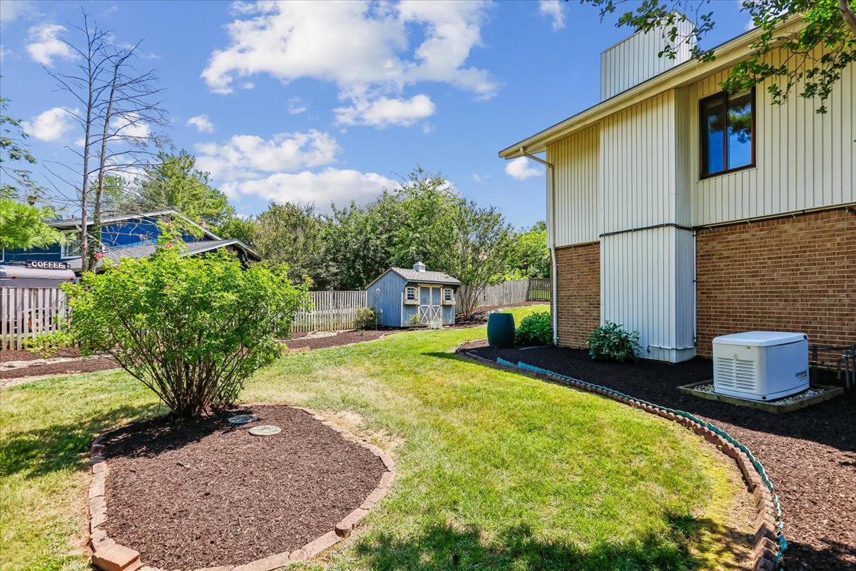 52-Back Yard